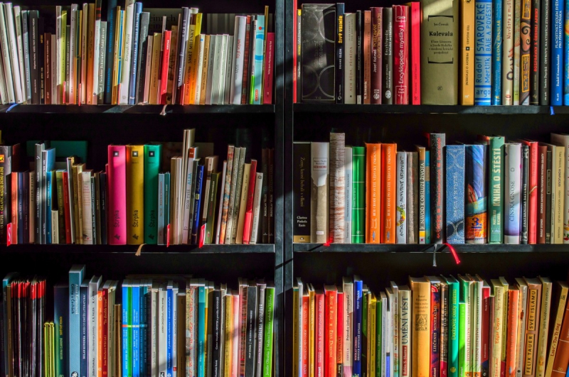 vente-EVENOS-min_books_bookstore_book_reading_shop_writer_sale_books_read-822866